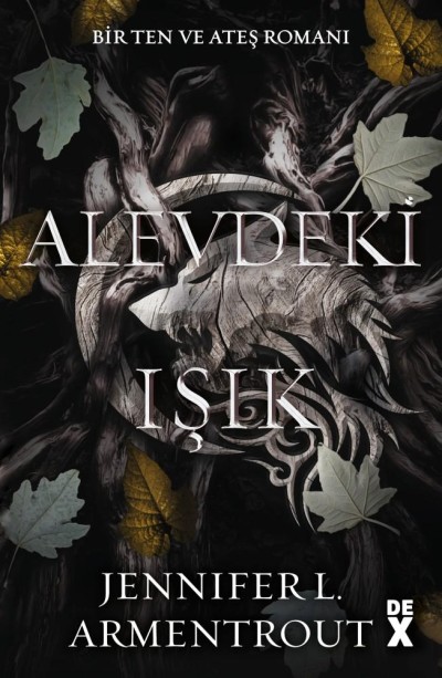 Alevdeki Işık