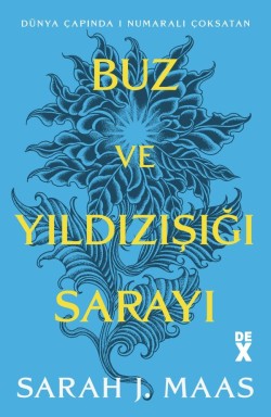 Buz ve Yıldızışığı Sarayı